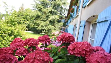 Superior Room | Garden view