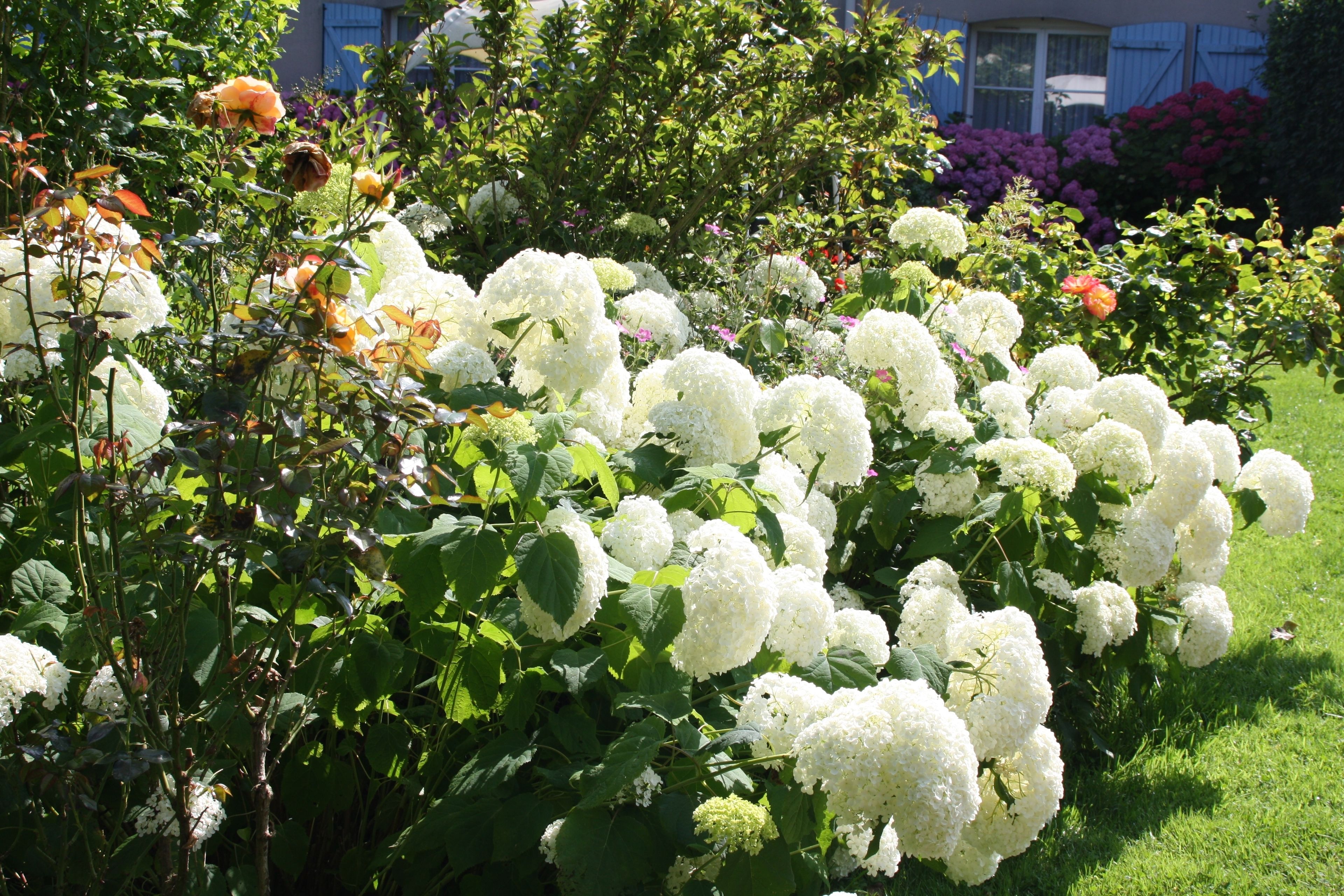 junior suite | exterior