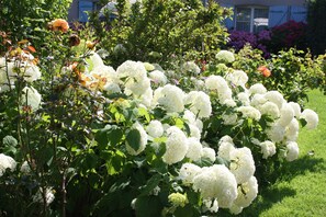 Suite – junior | Eksteriør