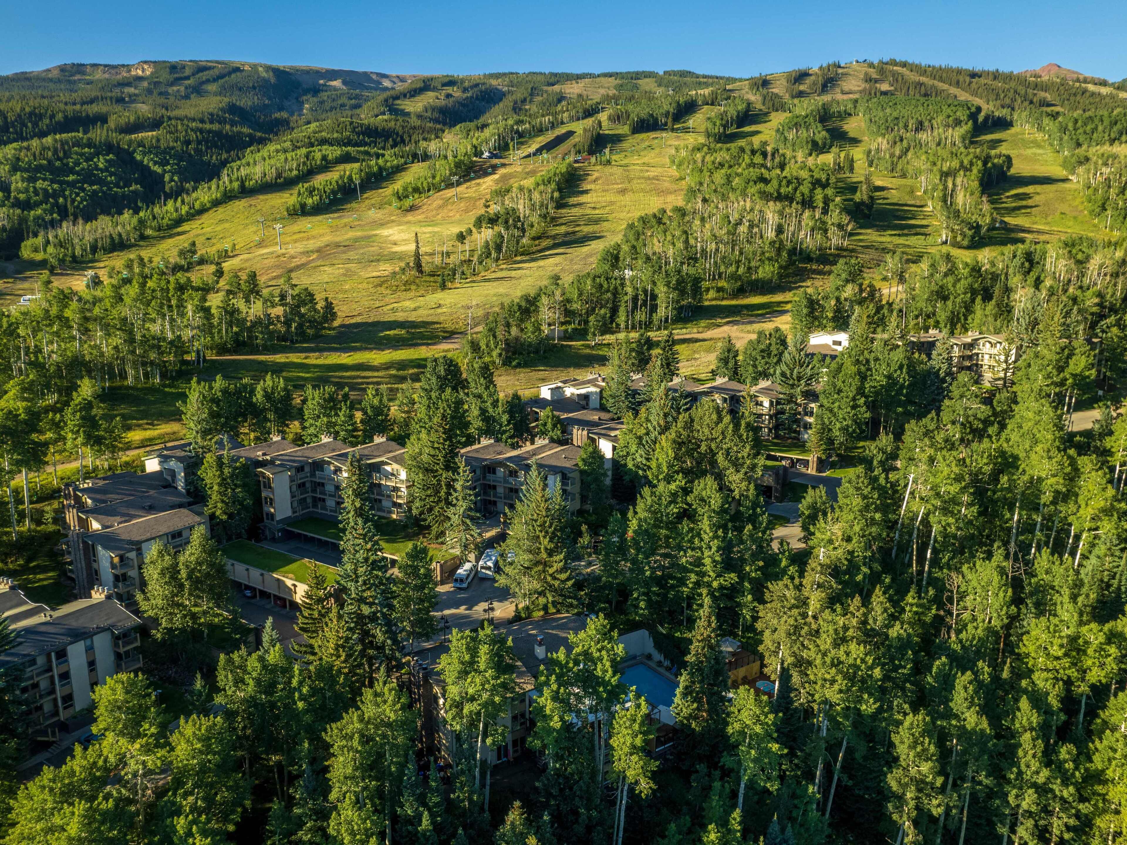 Servicio de la propiedad