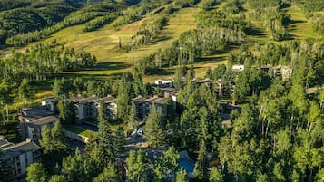 Servicio de la propiedad