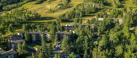 Servicio de la propiedad