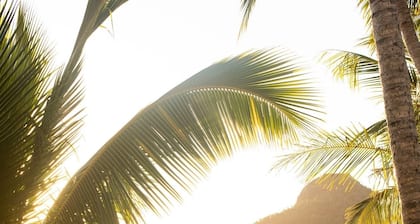 Beach Club