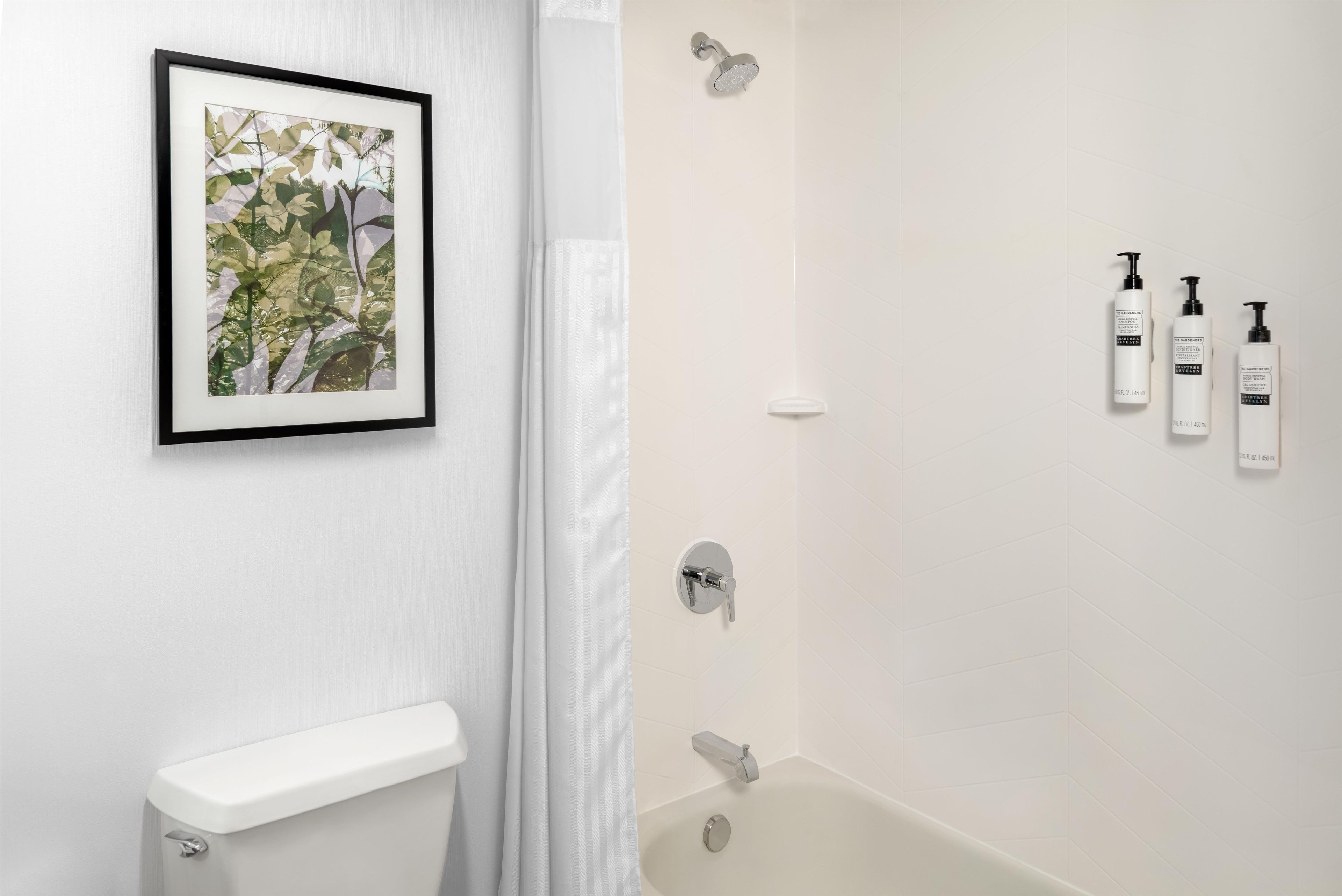 Un baño con inodoro, ducha y tres botellas de artículos de tocador en la pared.