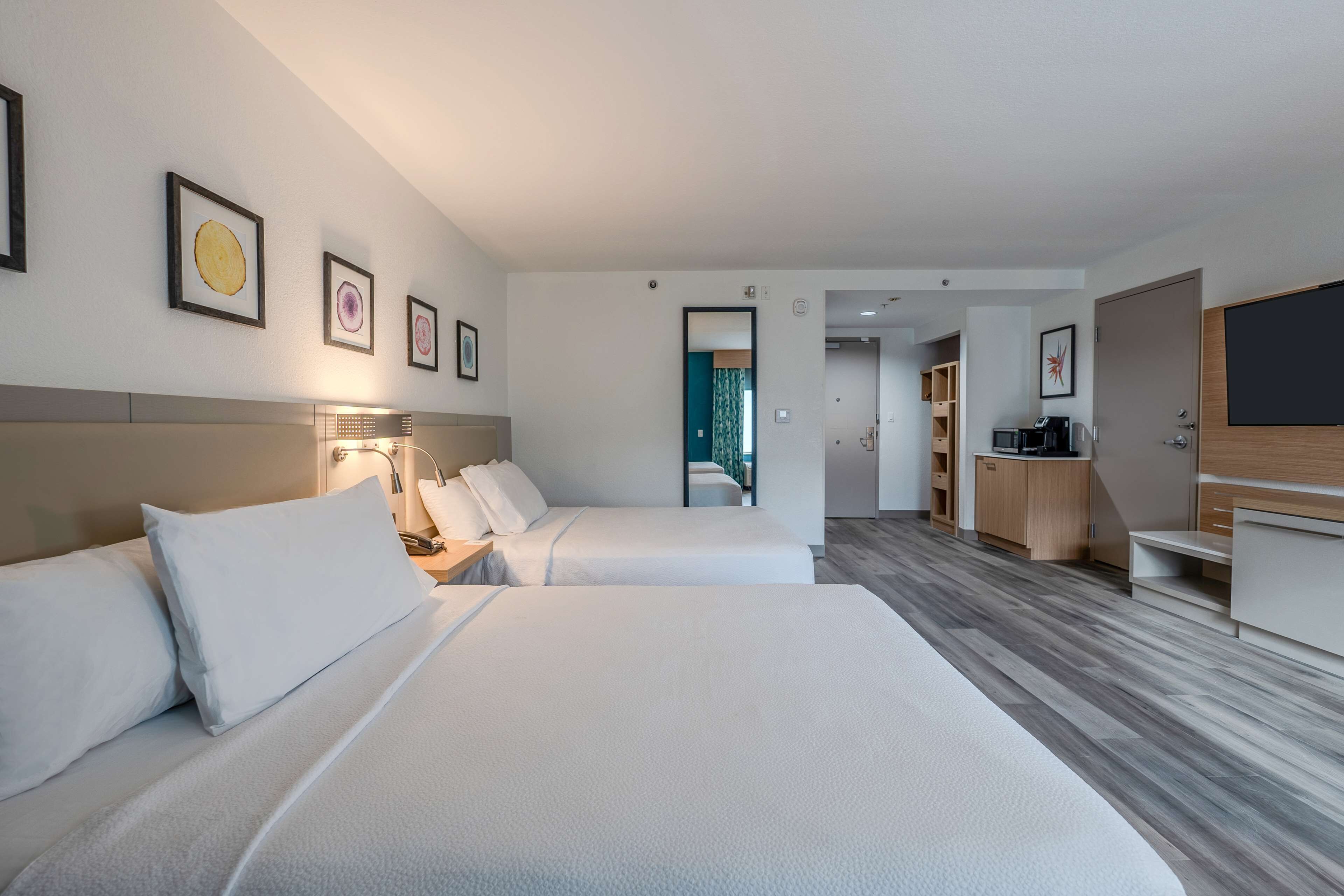 premium bedding, down duvets, desk, blackout curtains