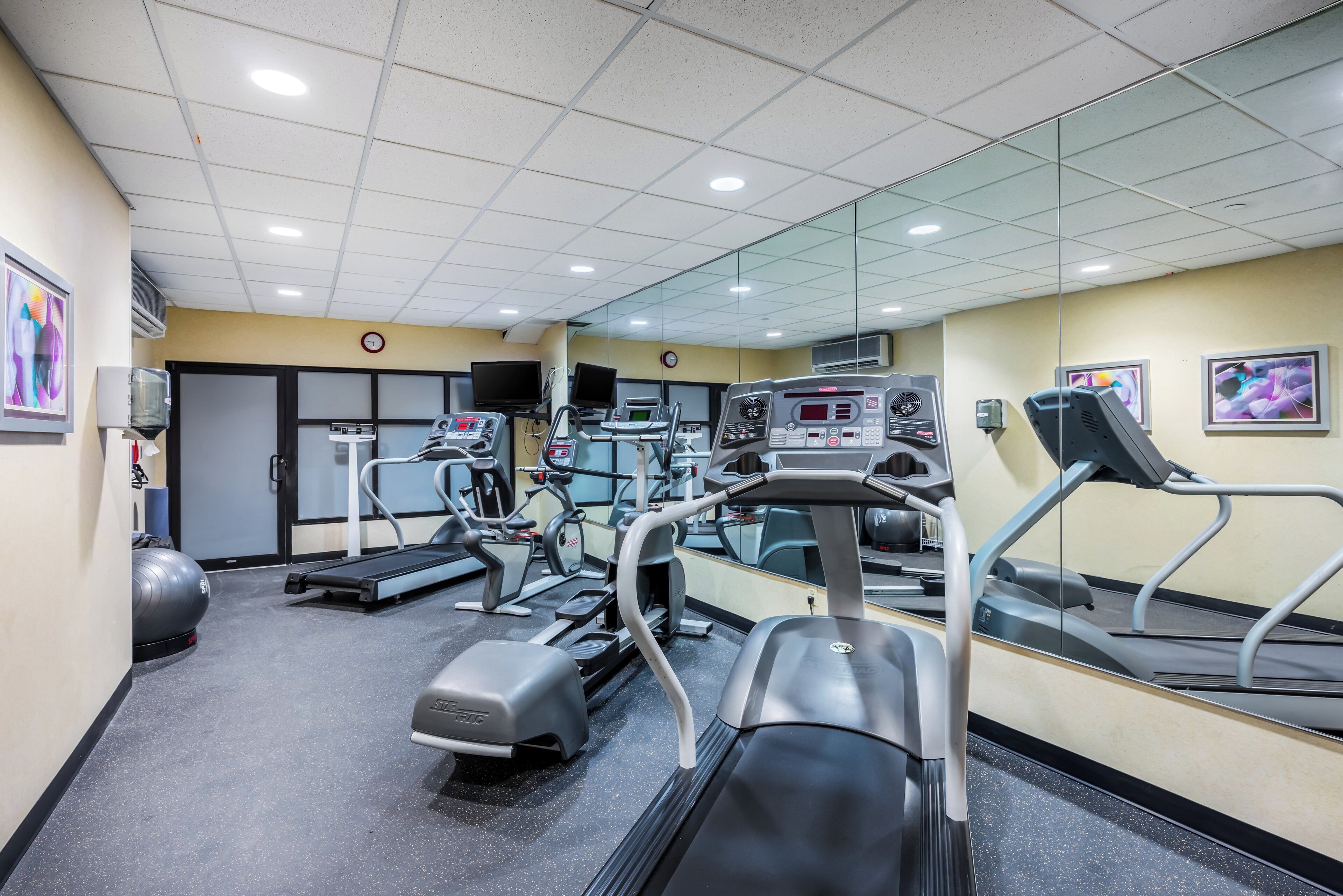 A gym with treadmills, elliptical machines, and a mirrored wall.