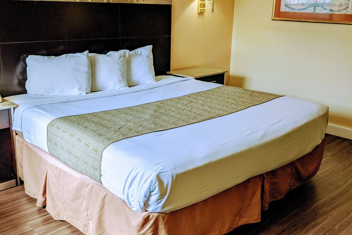 A hotel room with a large bed, a nightstand, a lamp, and a framed picture on the wall.
