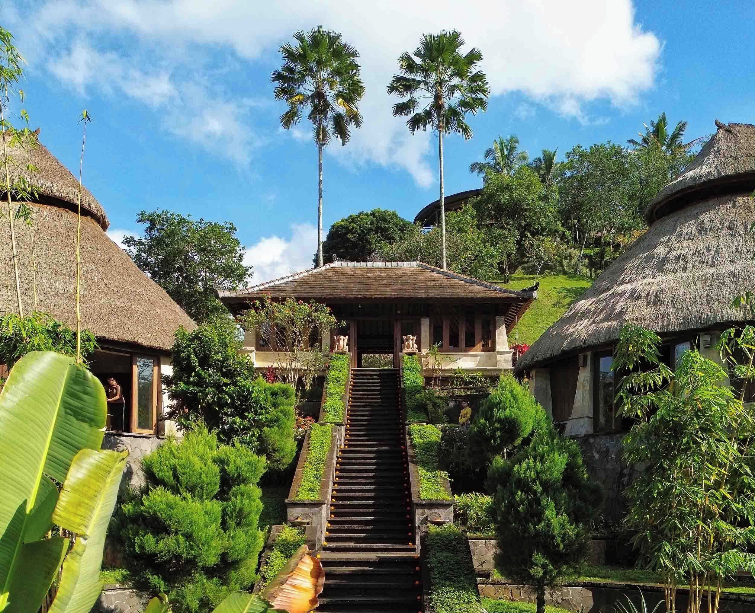 body treatments, aromatherapy, body wraps, body scrubs, detox wraps