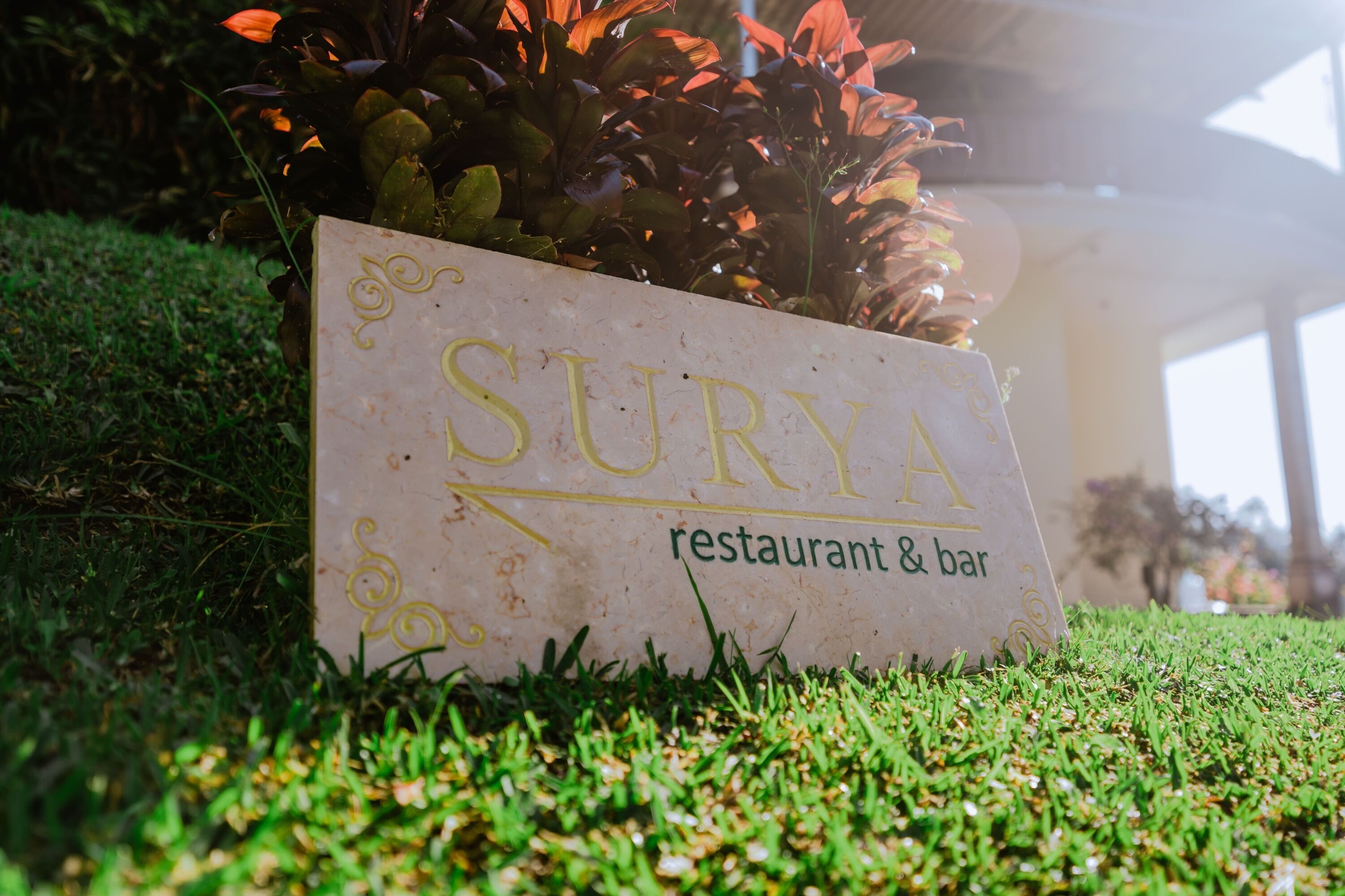 A sign for 'Surya restaurant & bar' on a grassy area with plants in the background.