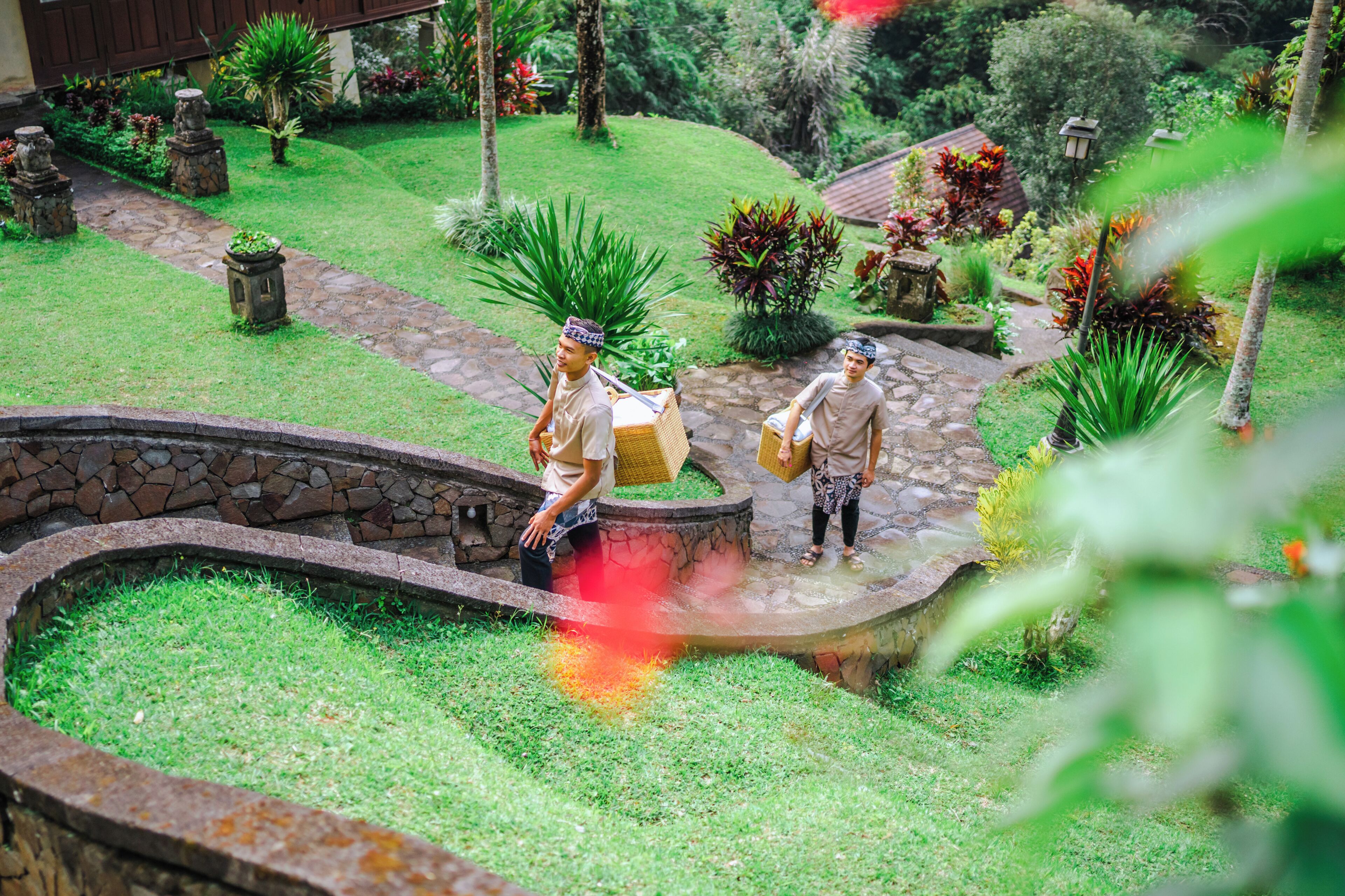 room service – dining