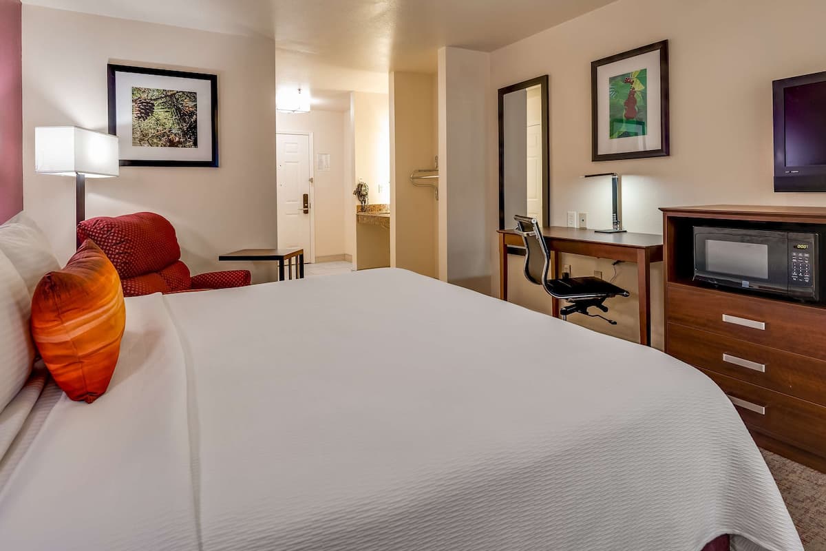 standard room, 1 king bed, accessible, non smoking (refrigerator & microwave) | in-room safe, desk, laptop workspace, iron/ironing board