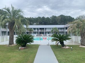 Outdoor pool, pool loungers