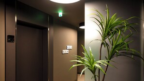 A hallway with an elevator, directional signs, and a potted plant. - Hotel Verona (Verona)