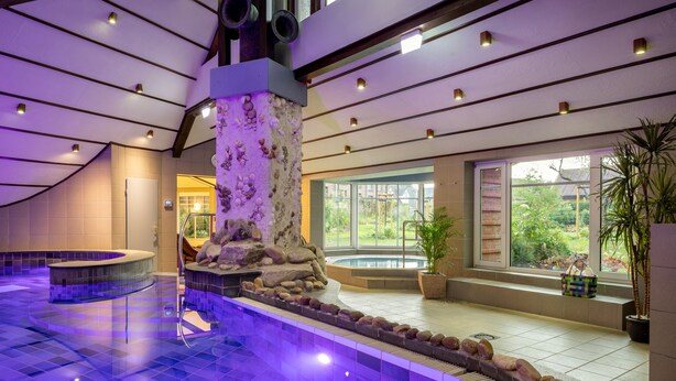 Une grande piscine intérieure dotée d’un rocher central et entourée d’une zone carrelée.