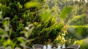 Un espace repas aménagé avec des meubles en osier et une table dressée pour le repas, entouré d’une végétation luxuriante et bordé par un plan d’eau.