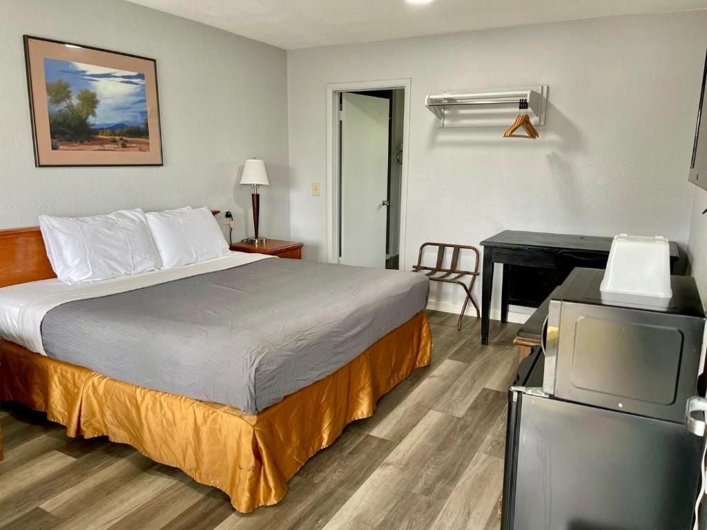Une chambre d’hôtel avec un lit, un bureau et une chaise, un réfrigérateur, une lampe et un tableau au mur.