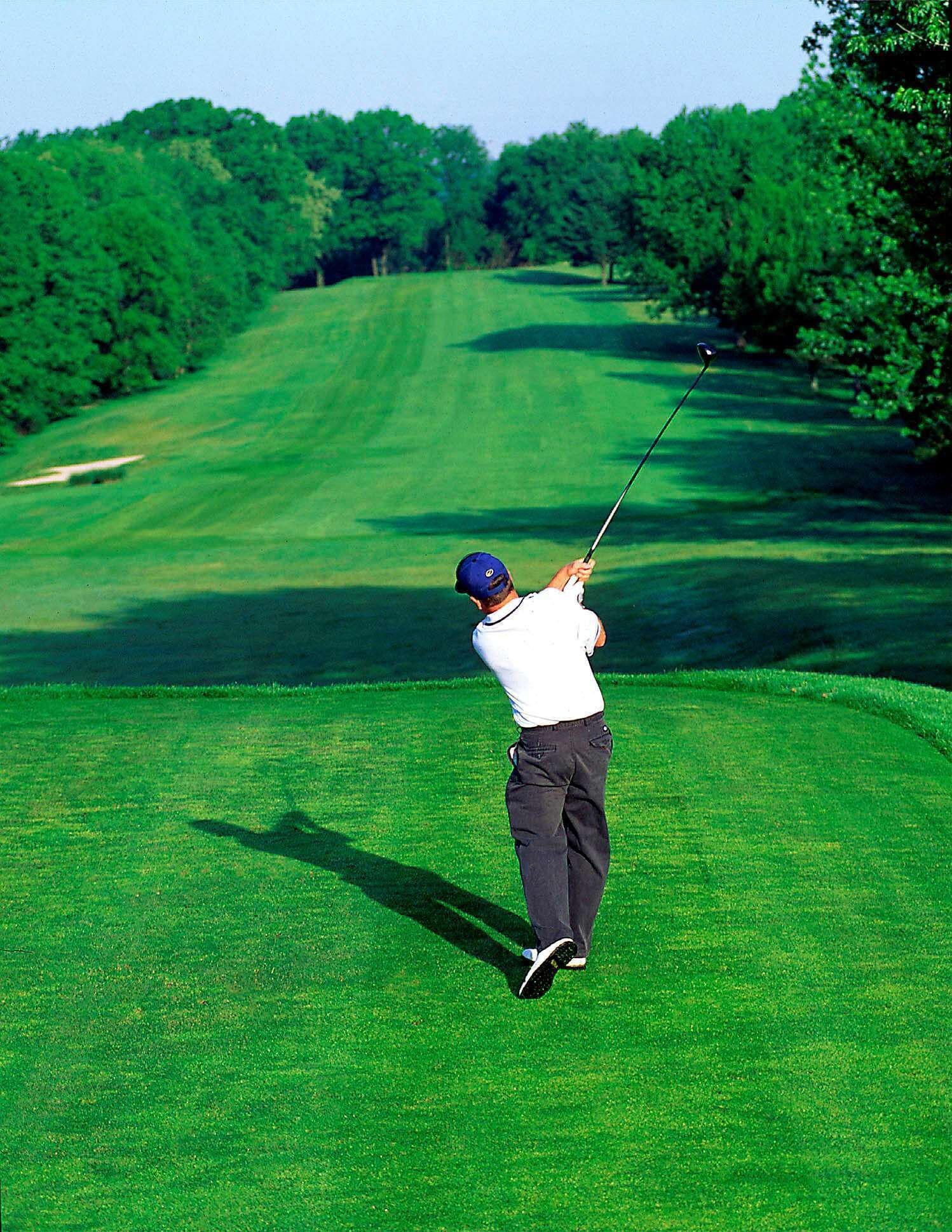 Foto - Hilton Garden Inn Nanuet