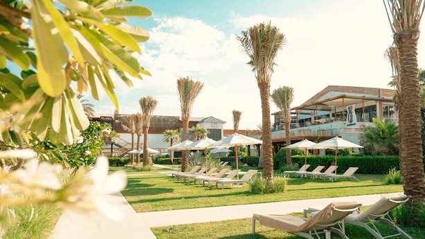 A resort with sun loungers, palm trees, and a building with a sign that reads "SALT". - Dubai Marine Beach Resort & Spa (Dubai)
