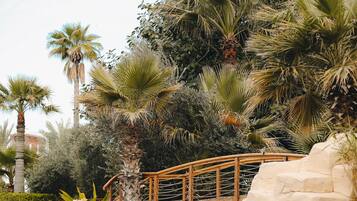 3 outdoor pools, open 7:00 AM to 7:00 PM, free pool cabanas