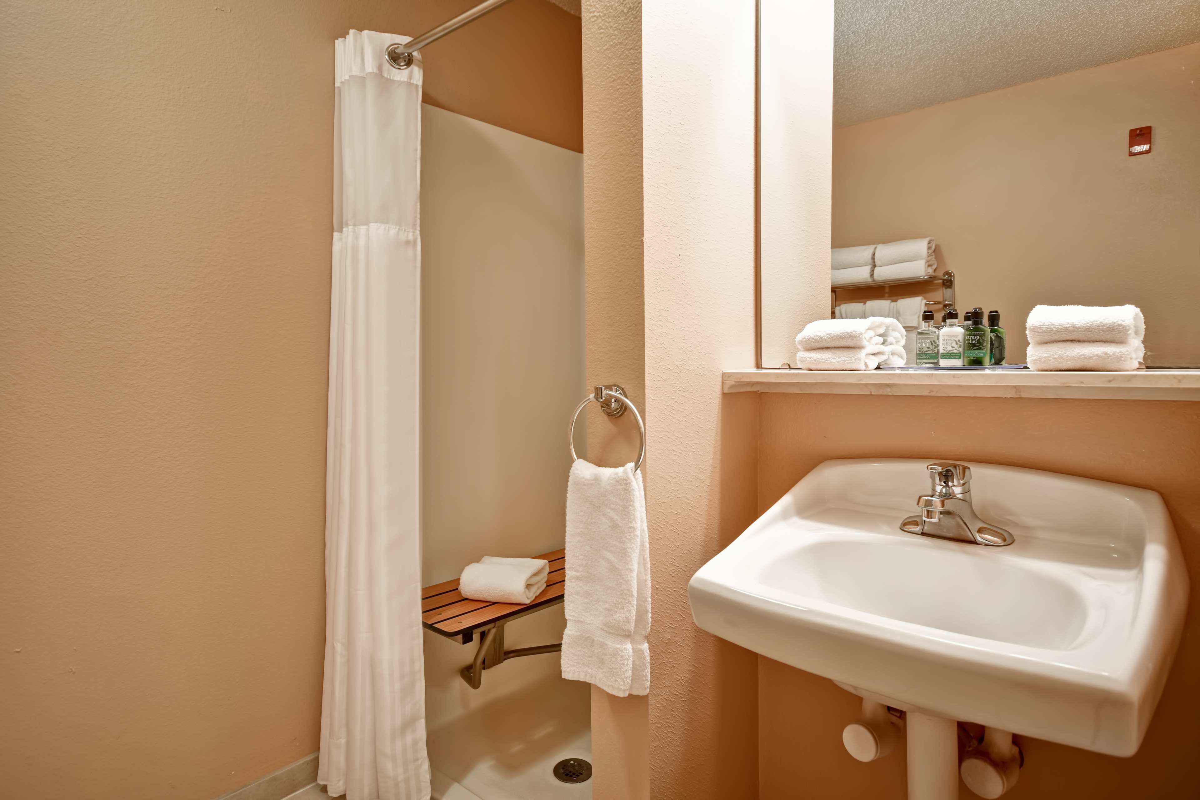 studio suite, 1 queen bed, accessible, non smoking (ada) | bathroom | free toiletries, hair dryer, towels, soap