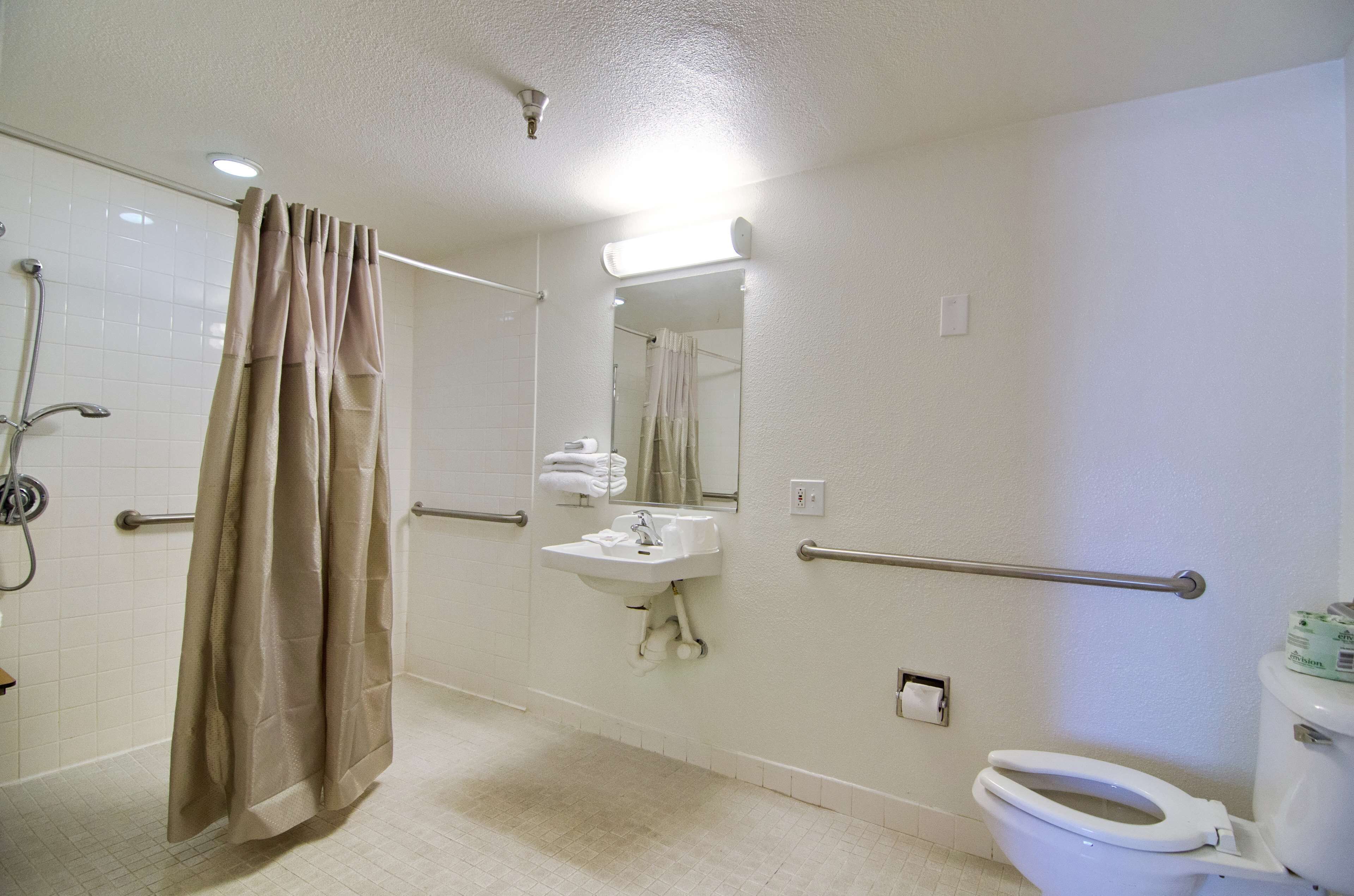 A bathroom with a shower, sink, toilet, and a mirror.