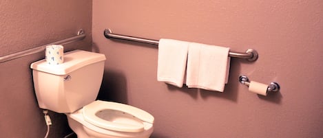 Un bagno con il water bianco, un corrimano e due asciugamani su un portascopevoli.