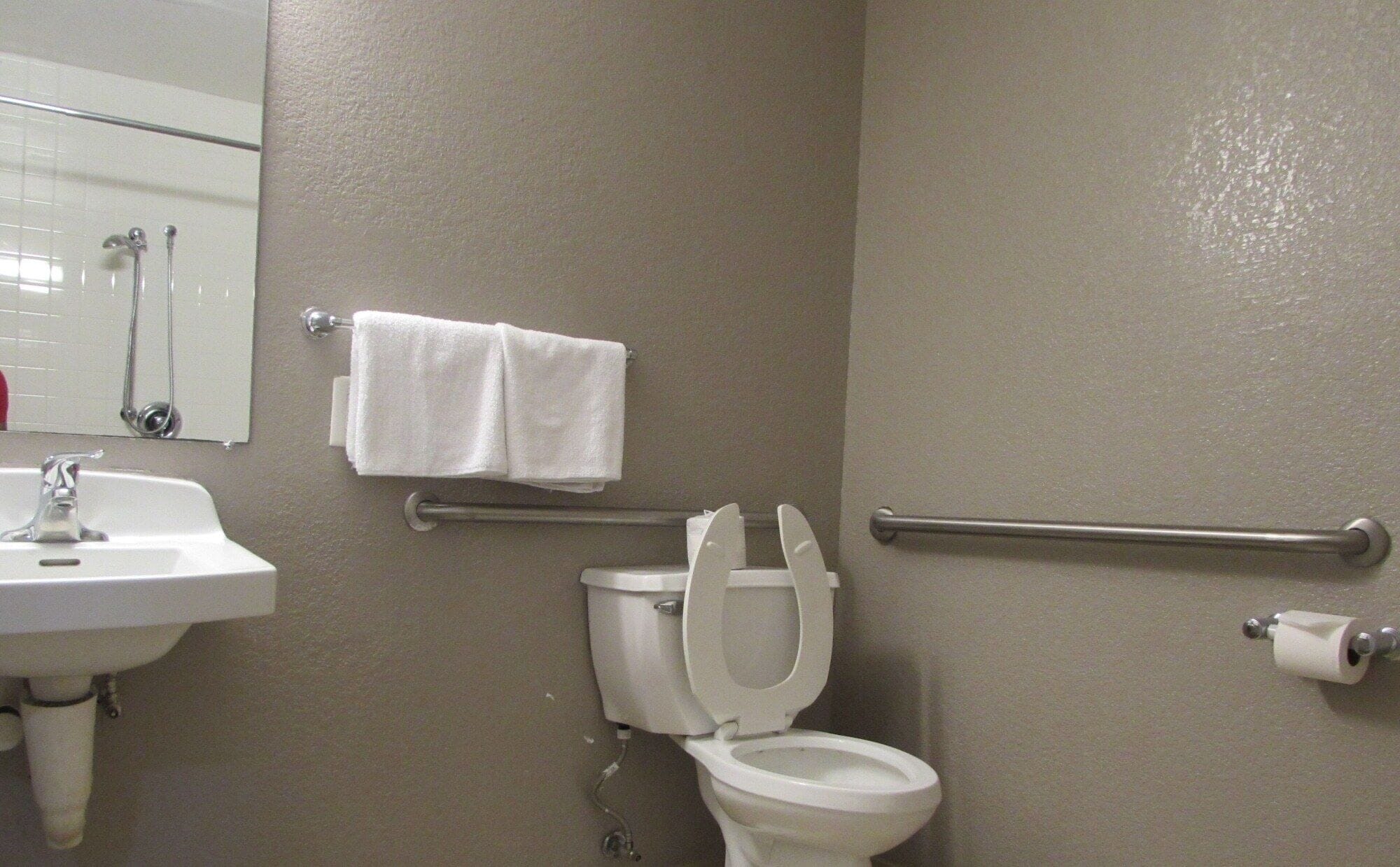 A bathroom with a sink, toilet, and handrails.