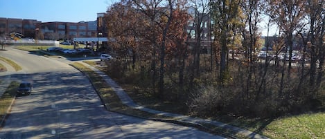 A paved road with a grassy median, trees with autumn foliage, and a building in the background.