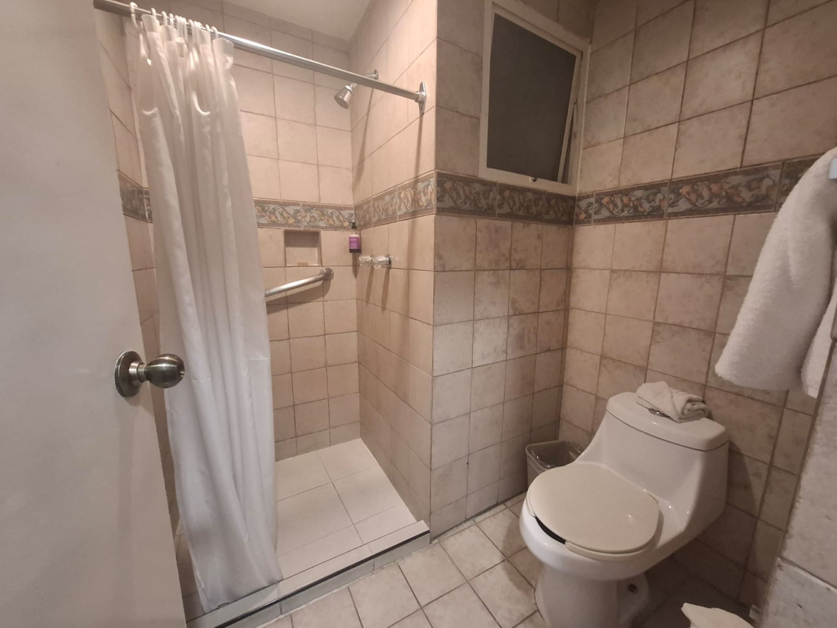 Une salle de bain avec une douche, des toilettes et un porte-serviettes.