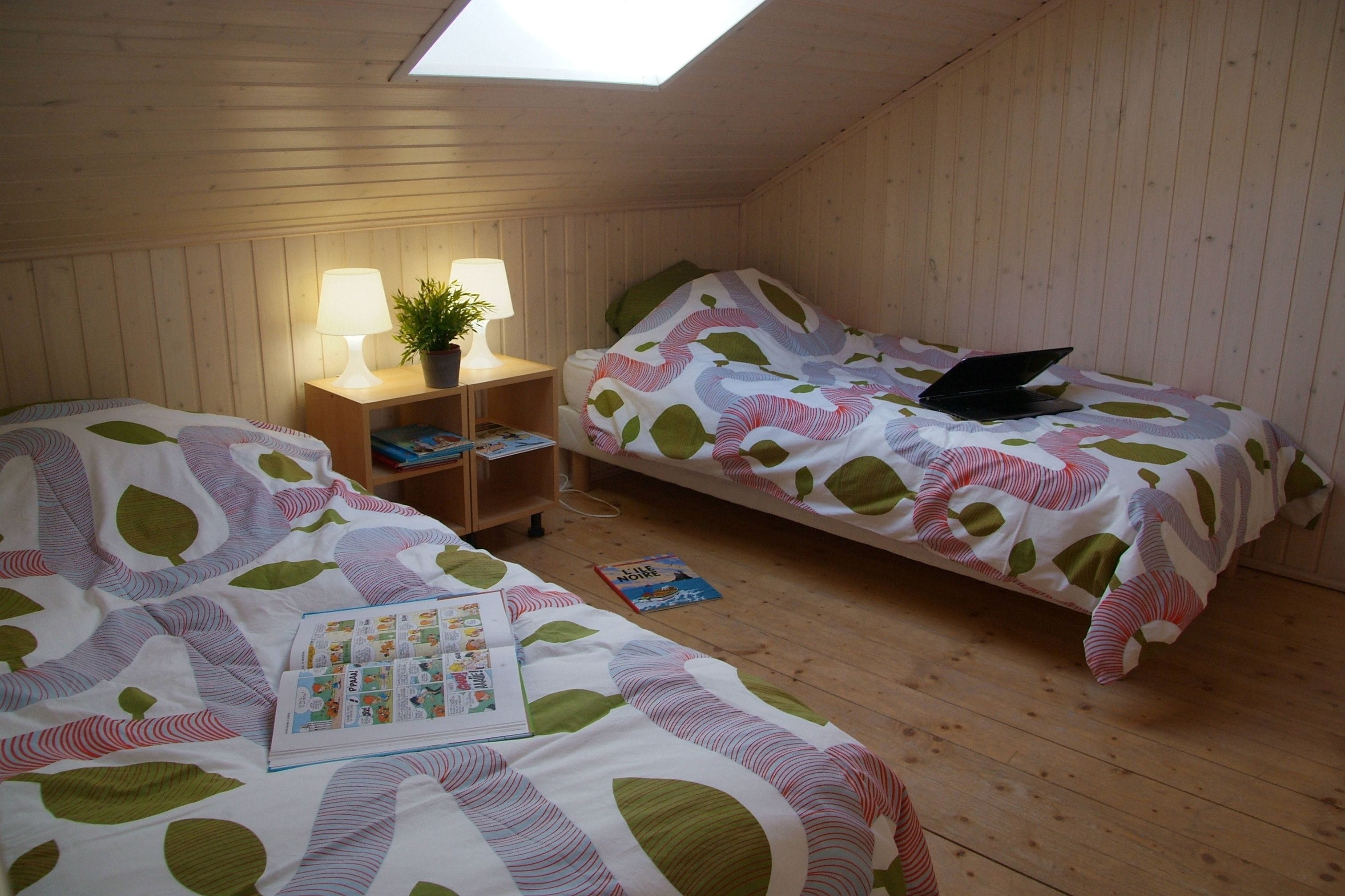 A cozy room with two beds, a skylight, a bedside table with a lamp, and a small bookshelf.