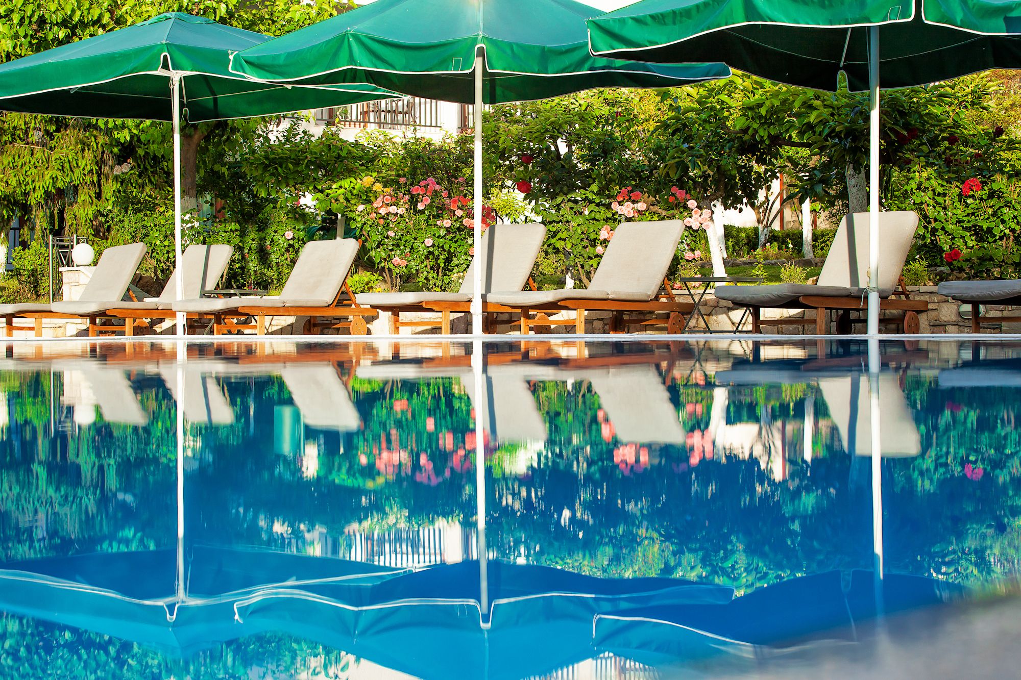 outdoor pool, pool loungers