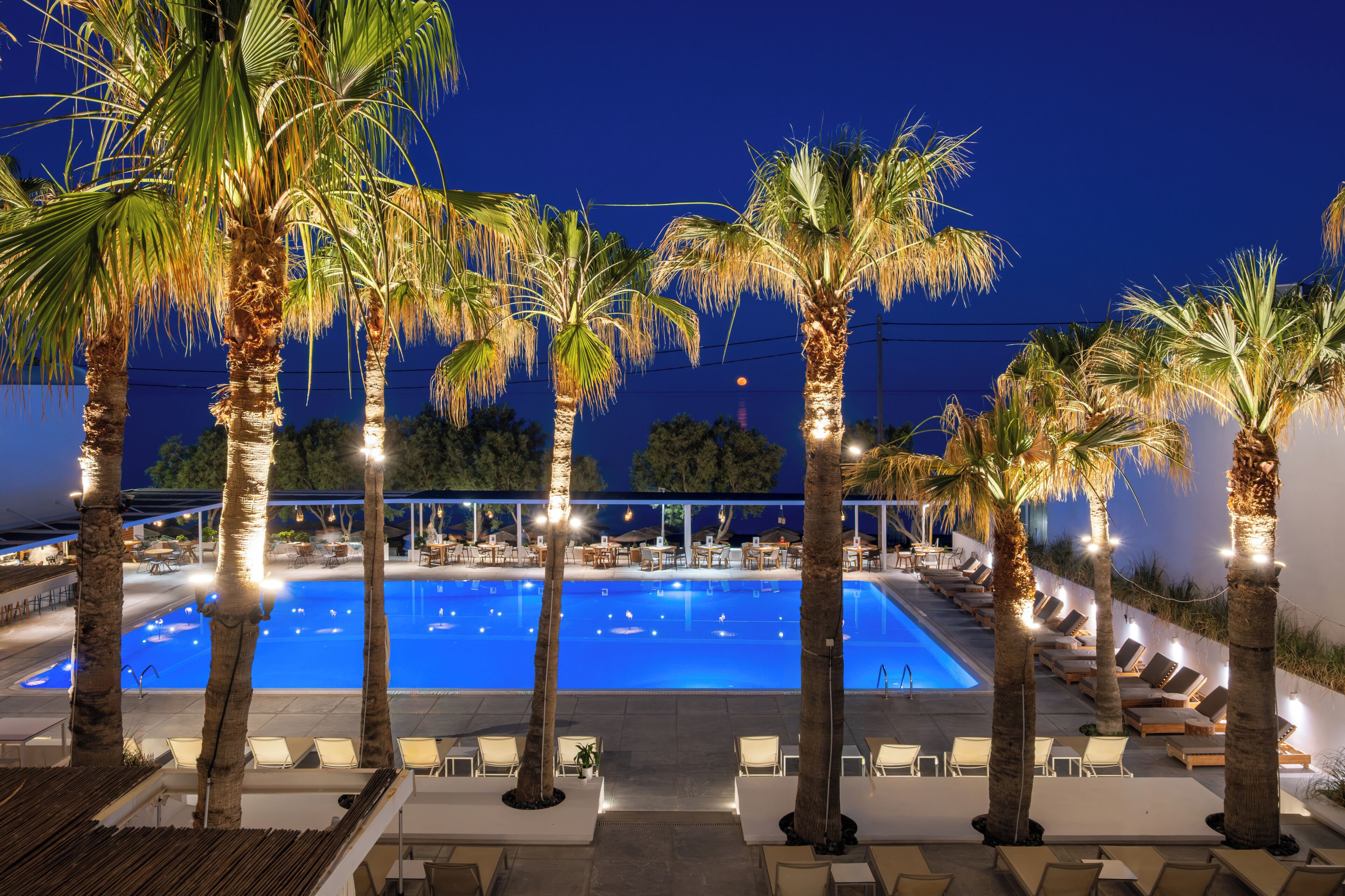Zona de piscina iluminada por la noche, con palmeras, sillas de descanso y mesas.