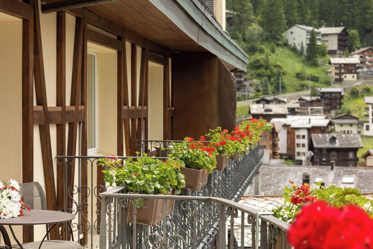 alpine only me | view from room