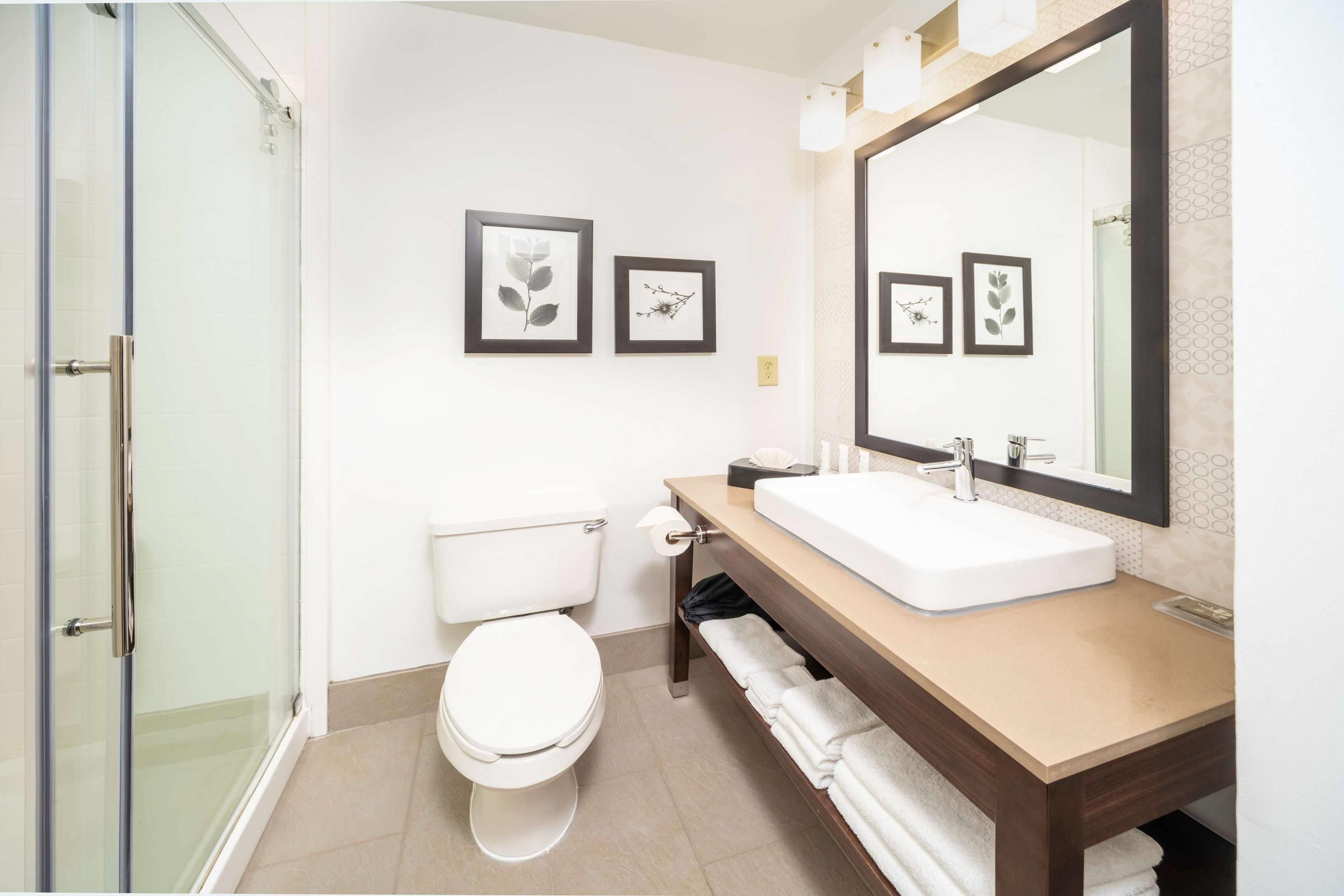A modern bathroom with a glass shower enclosure, a white toilet, a large mirror above a beige vanity, and framed botanical prints on the wall.
