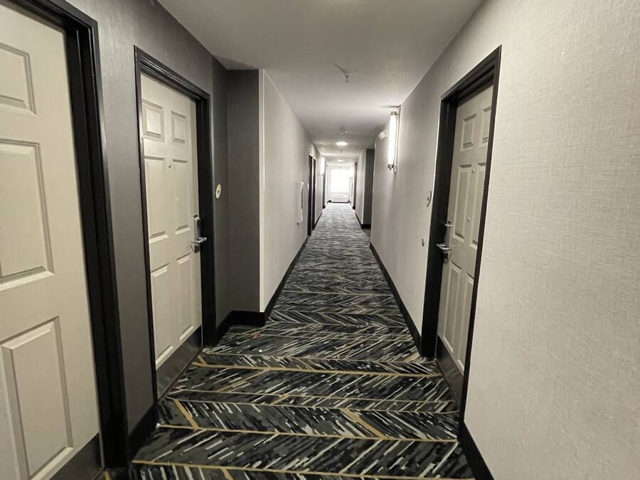 A hotel corridor with patterned carpet, white doors, and a ceiling light.