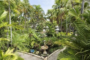 Um jardim exuberante com uma fonte central, rodeado por altas palmeiras e diversas plantas tropicais.