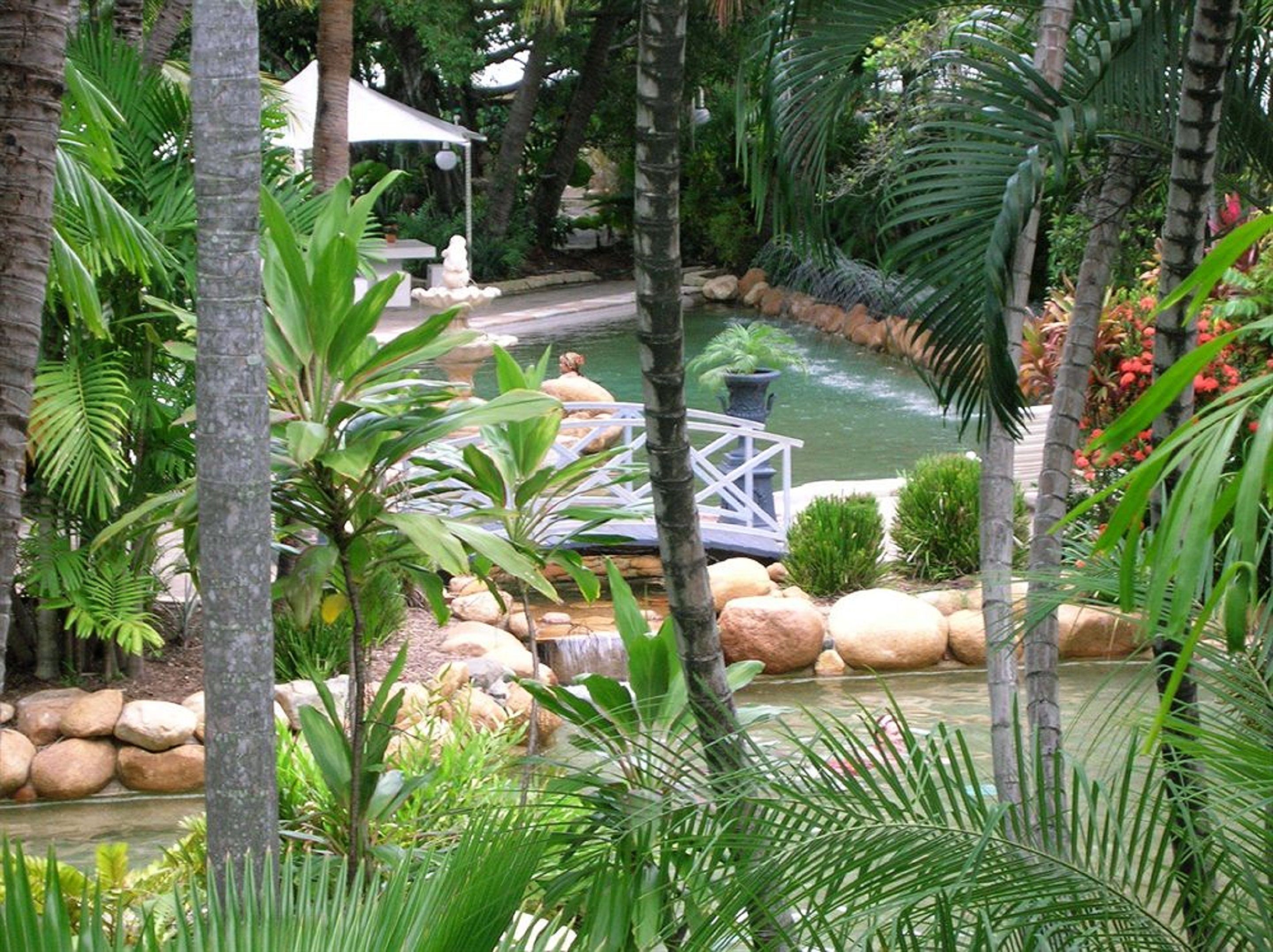 Ein friedlicher Garten mit Teich, umgeben von üppiger Vegetation und Palmen.