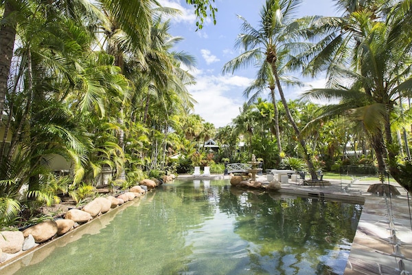 Outdoor pool, sun loungers