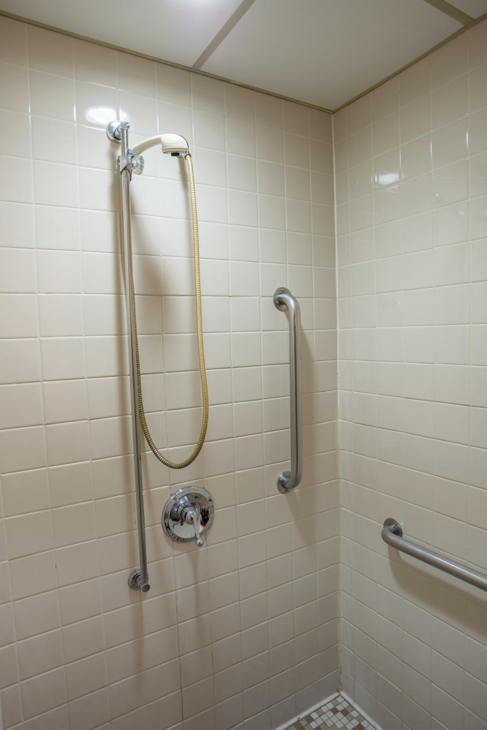 Un área de ducha con cabezal de ducha de mano, barras de apoyo y pared de azulejos.