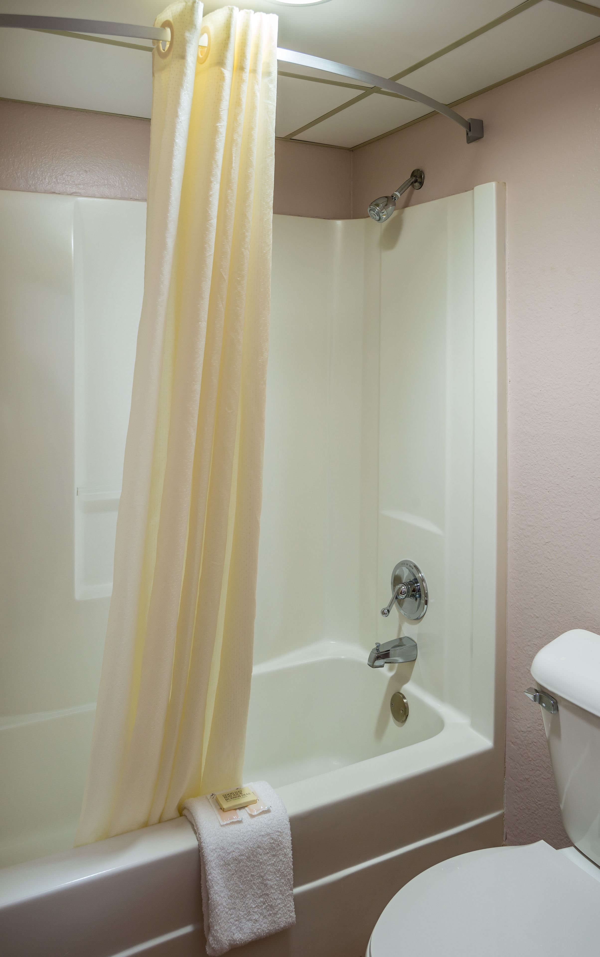 Une salle de bain avec une baignoire, une douche et des toilettes.