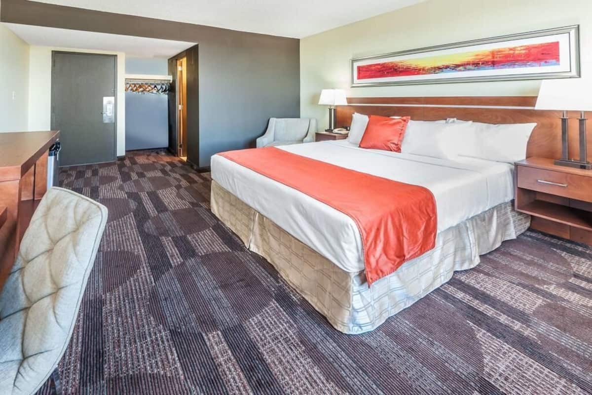 Standard Room | Premium bedding, pillowtop beds, desk, laptop workspace