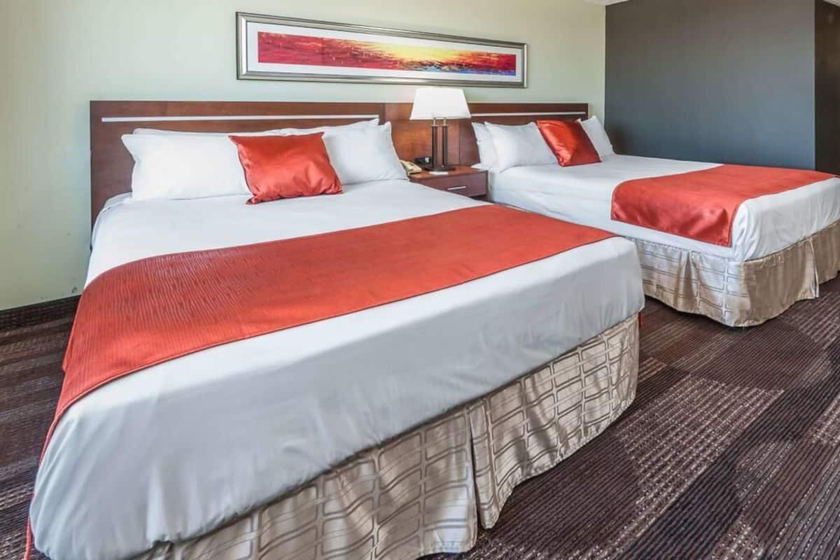 Standard Room | Premium bedding, pillowtop beds, desk, laptop workspace