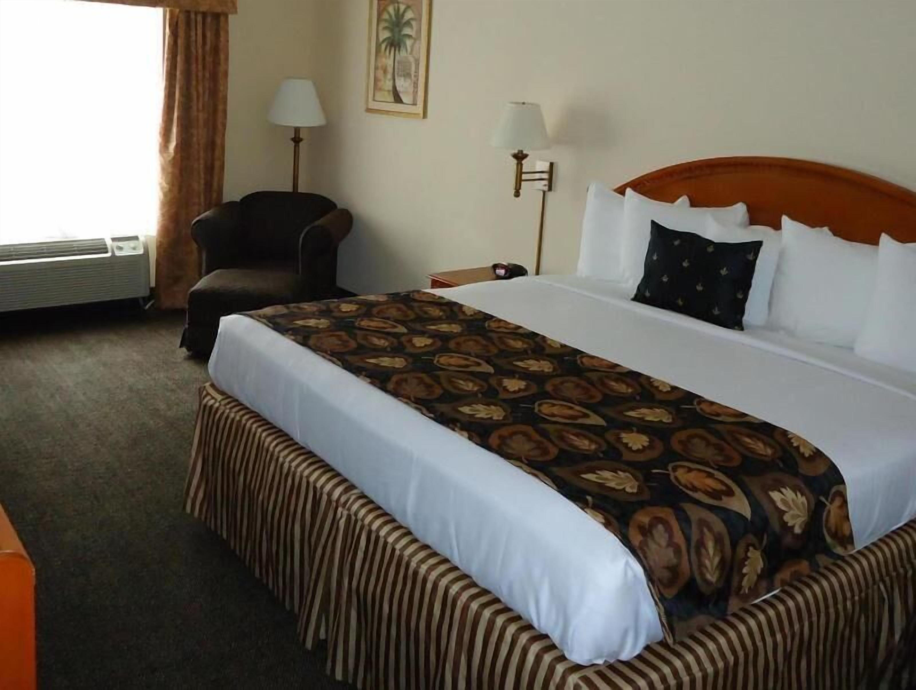 Premium bedding, desk, laptop workspace, blackout drapes