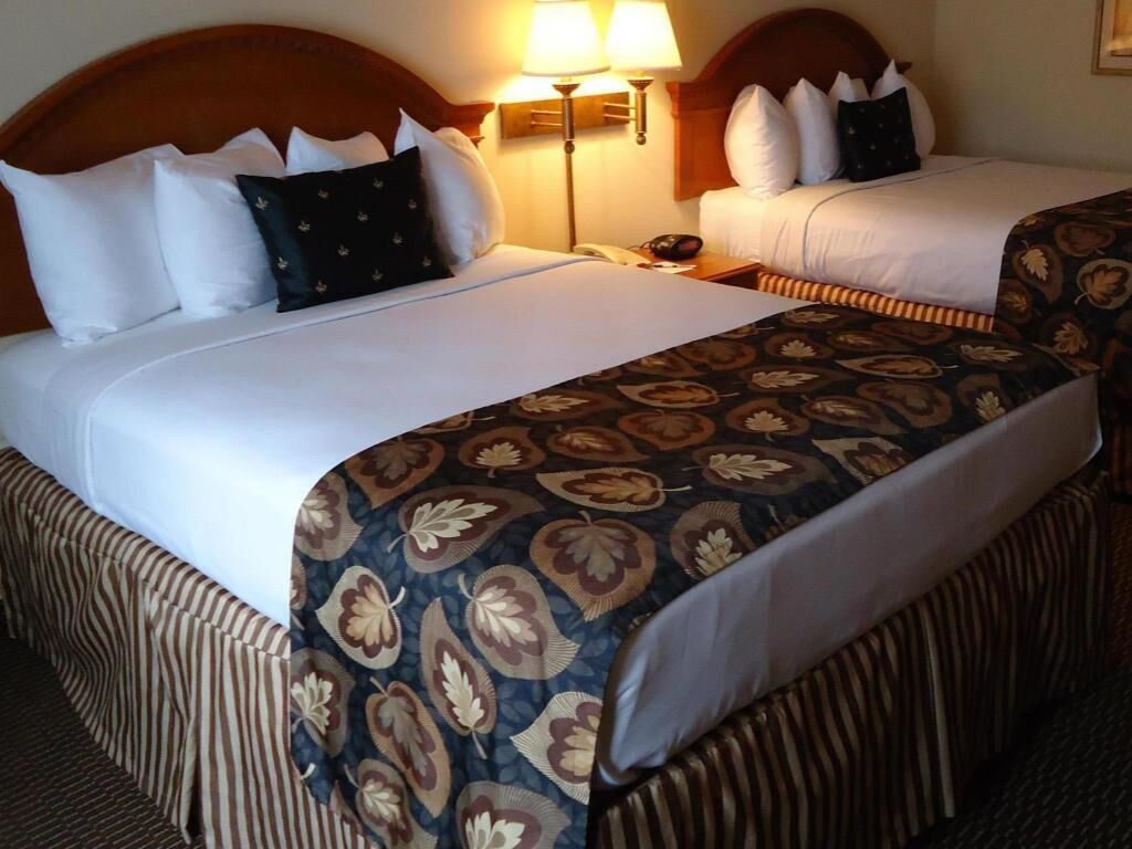 Premium bedding, desk, laptop workspace, blackout drapes