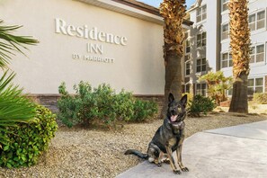 Property amenity