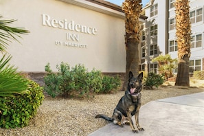 Property amenity