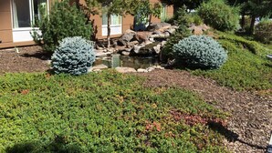A landscaped garden with a small pond, surrounded by various shrubs and trees. - Fairfield Inn and Suites by Marriott Yakima (Yakima)