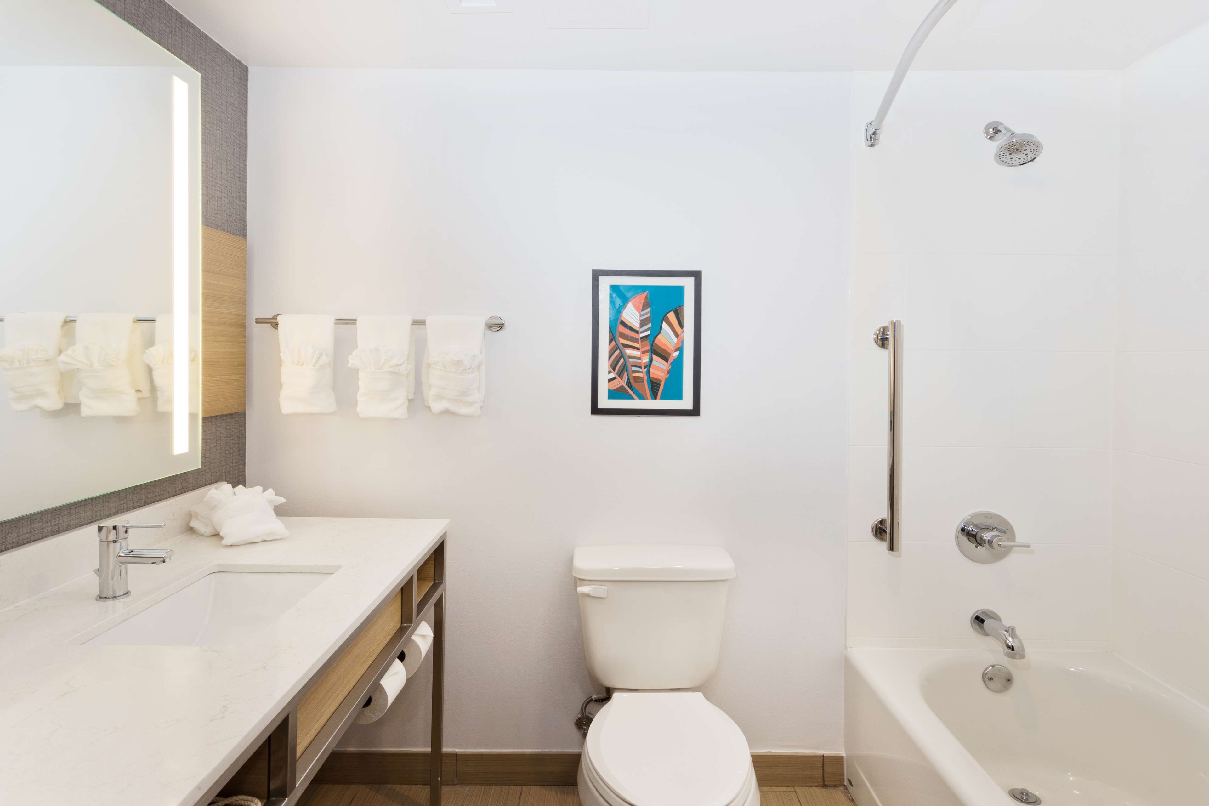 combined shower/bathtub, hydromassage showerhead, free toiletries