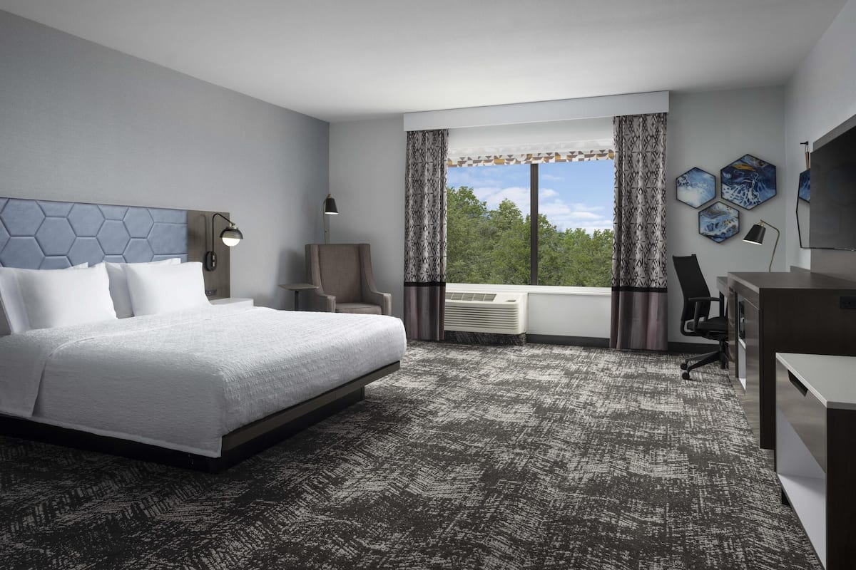 Habitación, 1 cama King size, con acceso para personas discapacitadas | Escritorio, espacio para trabajar con laptop y cortinas blackout