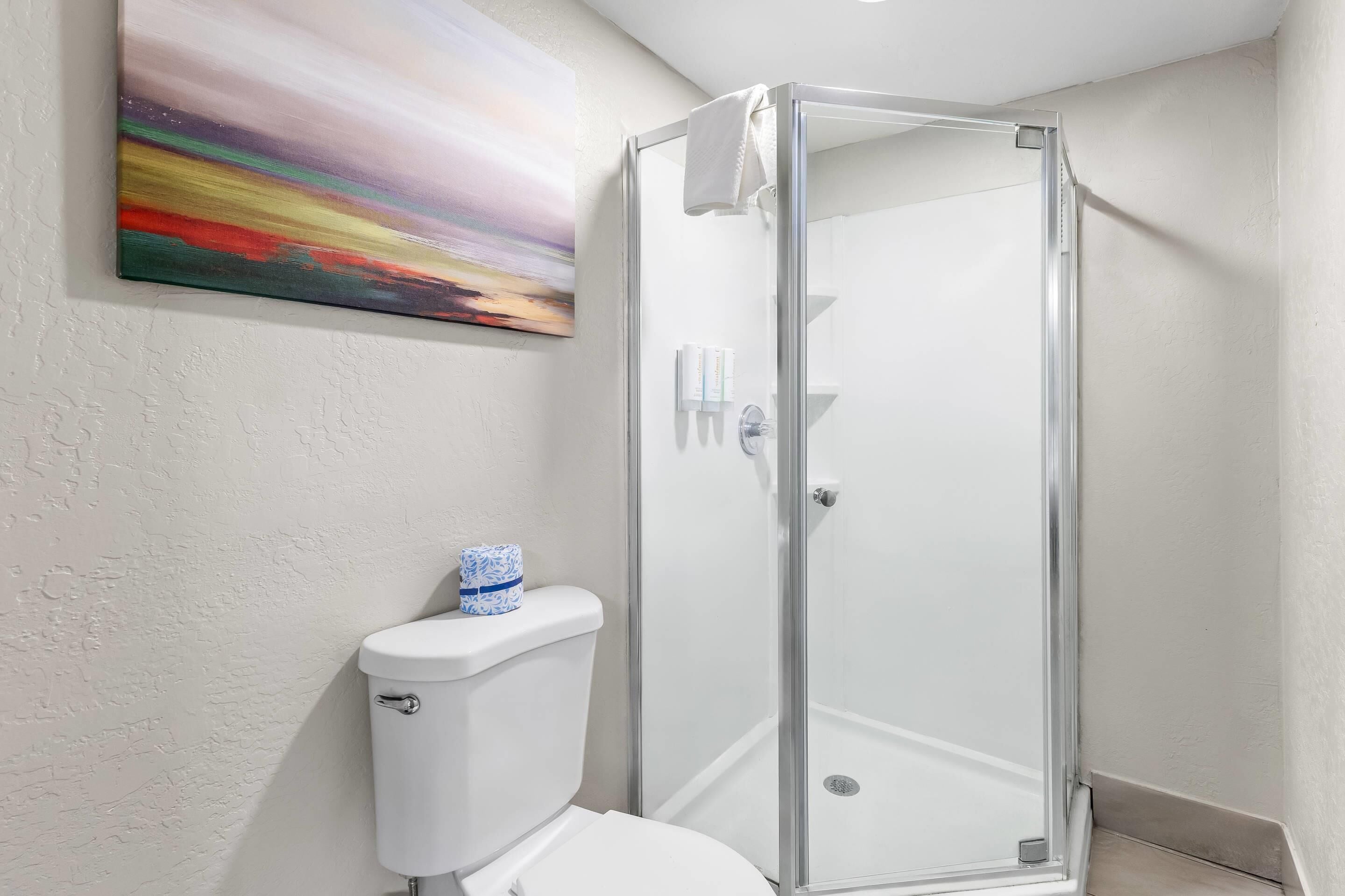 Une salle de bain avec une douche à parois de verre, des toilettes et un tableau au mur.